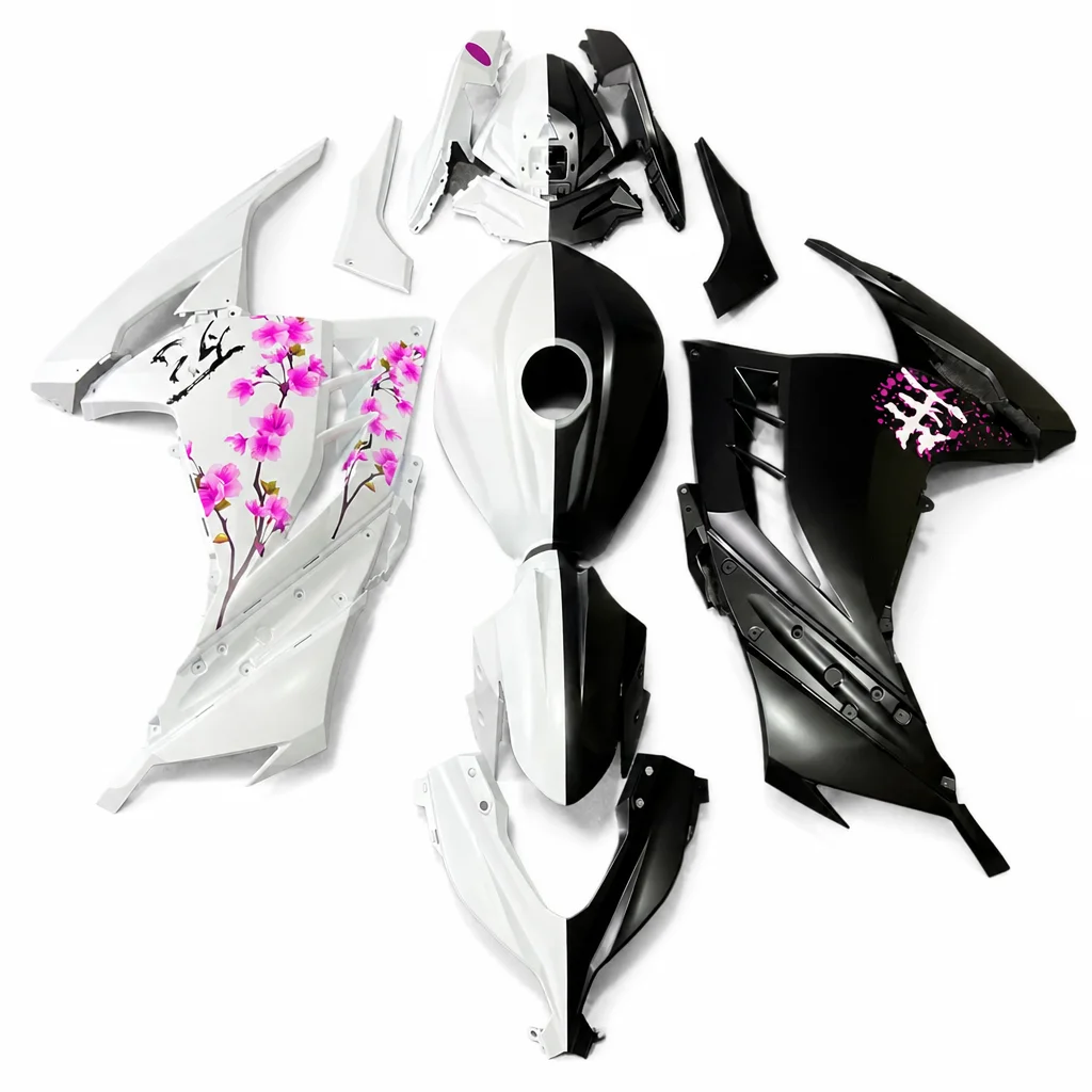 Fairing set Kawasaki Ninja 300 2013-2017